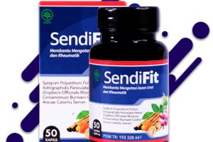 Sendifit