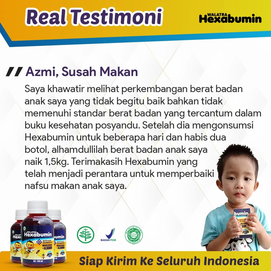 testimoni hexabumin 4